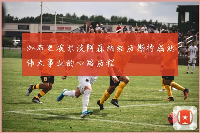加布里埃尔谈阿森纳经历期待成就伟大事业的心路历程
